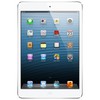 Apple iPad mini 16Gb Wi-Fi + Cellular белый - Ковров